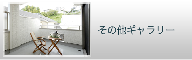 その他ギャラリー